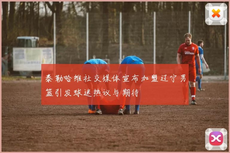 泰勒哈维社交媒体宣布加盟辽宁男篮引发球迷热议与期待
